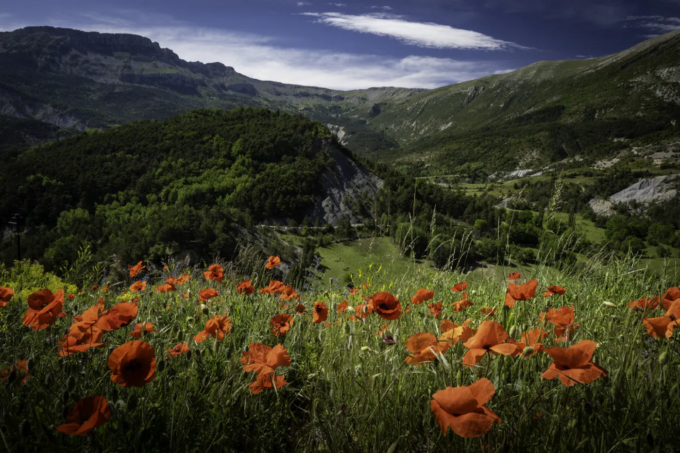 La vallée de Blieux