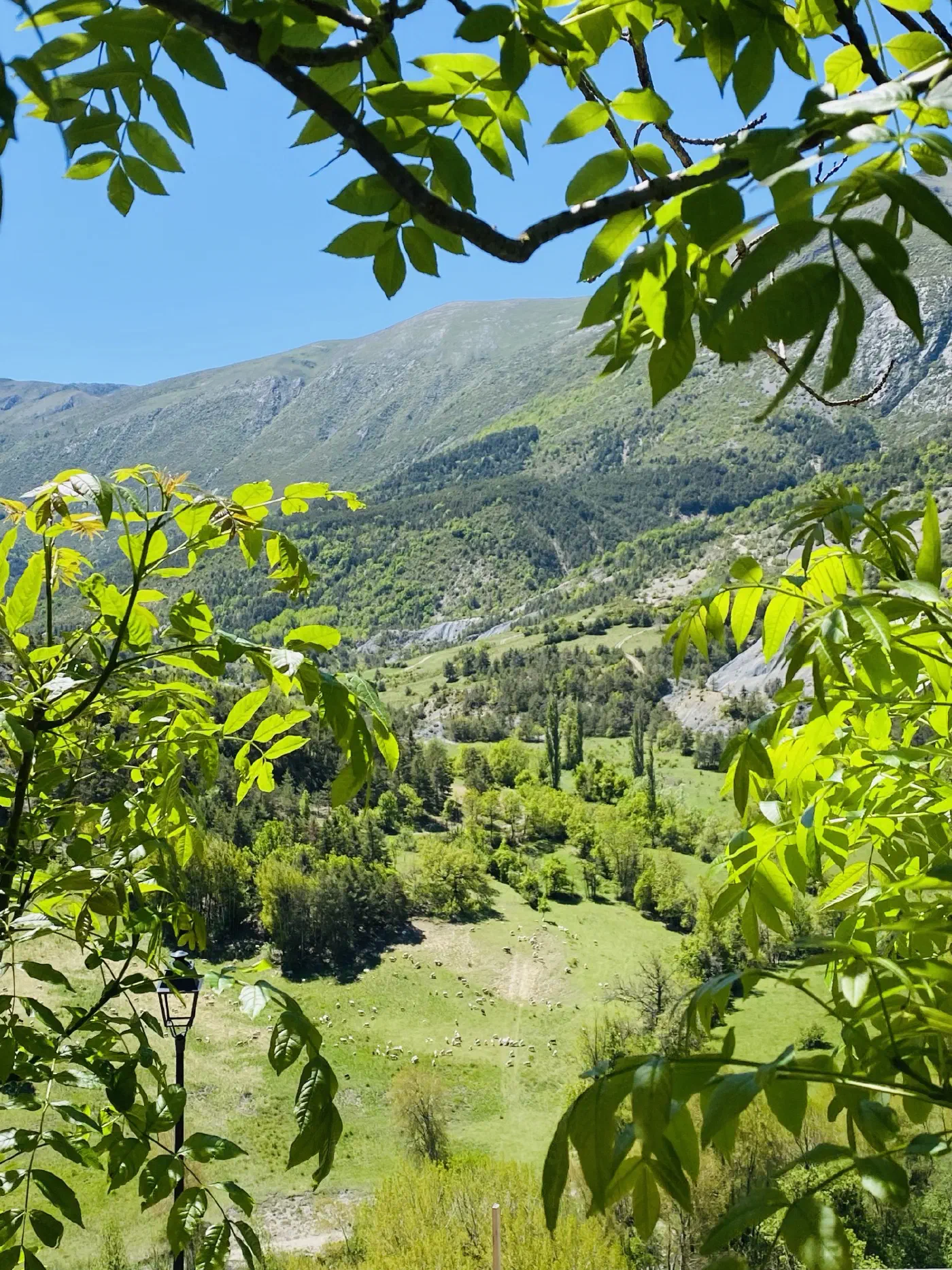 La vallée de Blieux
