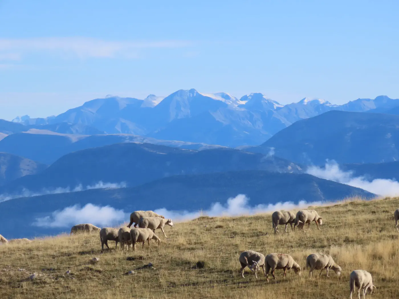 La vallée de Blieux