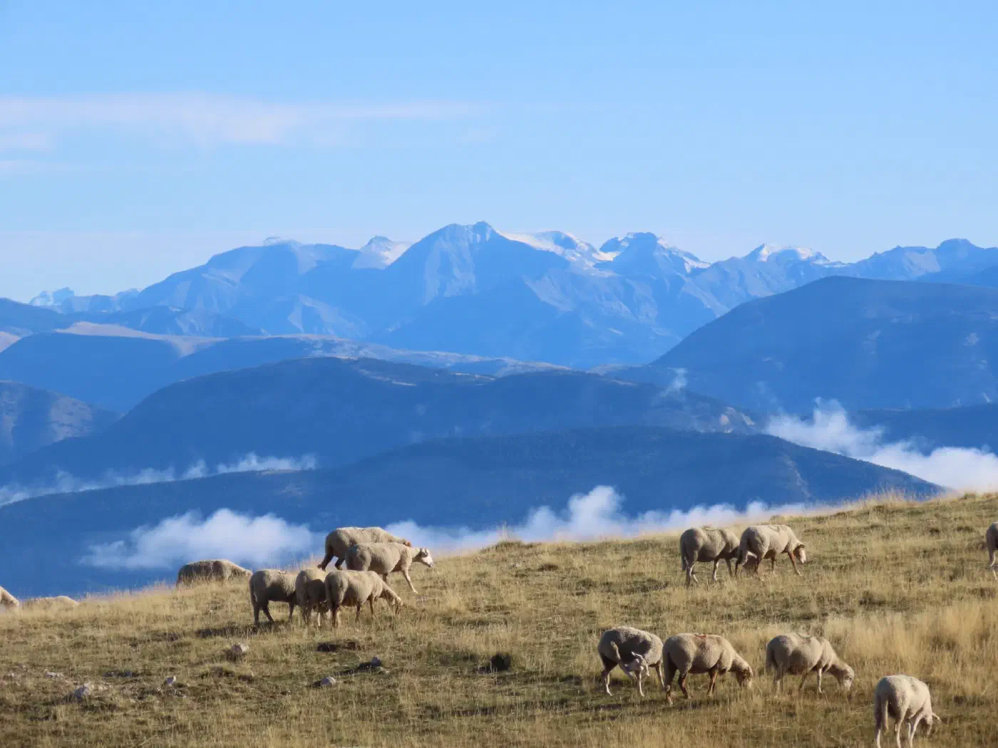 La vallée de Blieux