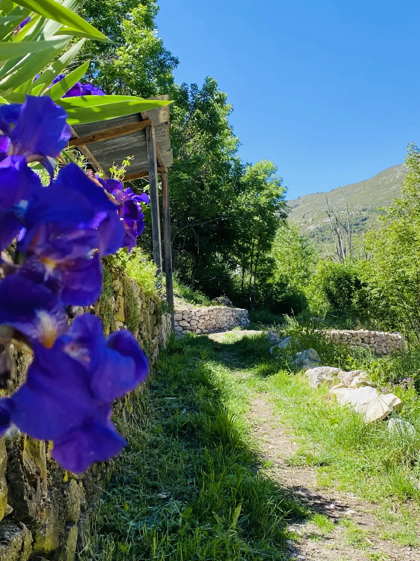 Respirez, vous êtes à la Chambrette